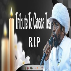 Cocoa Tea Tribute Mix | Best Of Cocoa Tea Greatest Hits | Cocoa Tea Mix | Calum beam intl