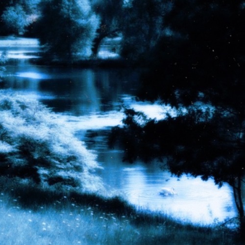 sedated! (prob.1ksubi)