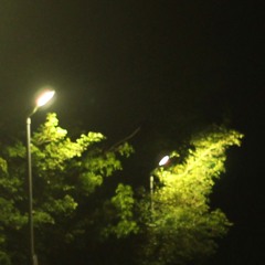 Fleshwater - Baldpate Driver (Cover)