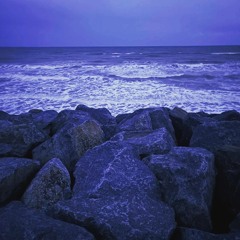 REVERSE. prod (Lilac Beats)