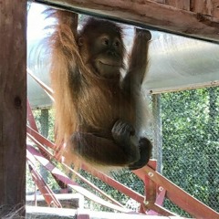 Bitsu Ghost (first Track)