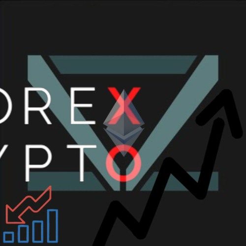 TRADERFLEX w/sinairmak