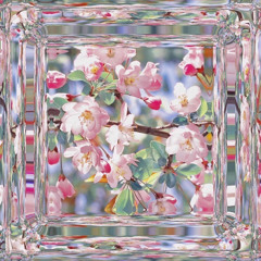 Promise land remix 🔥🤩🤪.m4a