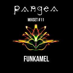 PANGEA// Mixset #11// Funkamel