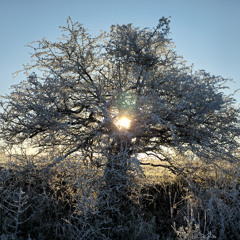 How do you fall in love with a ghost?