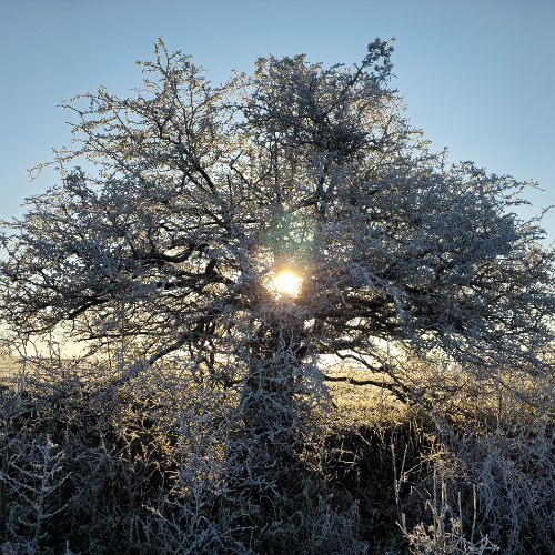 How do you fall in love with a ghost?