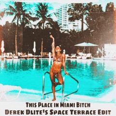 This Place In Miami Bitch (Derek Dlite's Space Terrace Edit)