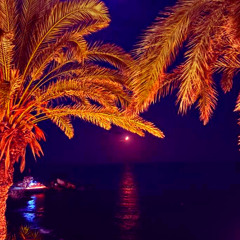 Meet Me At The Island (REMIX)