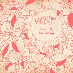 Hungarian Hot Mix 011 - Tom Savage