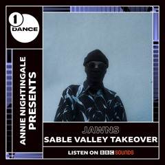 Annie Nightingale presents: JAWNS BBC Radio 1 Sable Valley Takeover 1/4/22