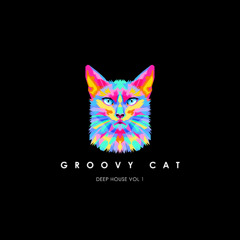 THE GROOVY CAT: DEEP HOUSE VOL 1