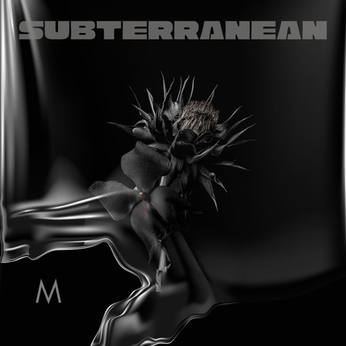 🔥PREMIERE🔥Synthetic Garden & Gisella Engel-Tactile -(Mellon Place Records)