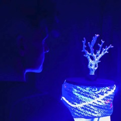 Eden 03/24