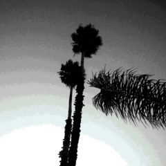 Desert Song