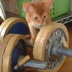 JIM
