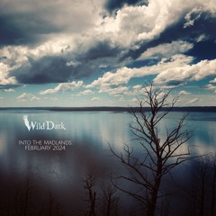 Into The Madlands - Feb 2024 - Frisky Radio