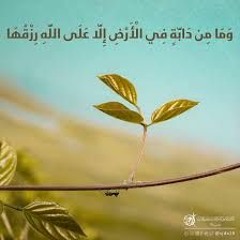 ❤️ وما من دابة في الأرض إلا على الله رزقها 💚