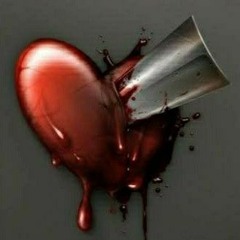 SHOTS FIRED BY FIONA