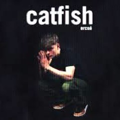 Ercsé - Catfish