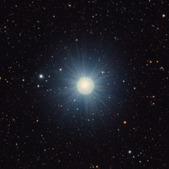 Procyon 2023