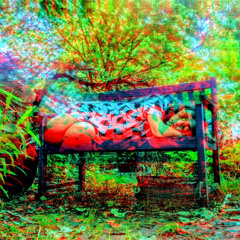 Mooseka's Wonderland