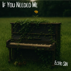 If You Needed Me