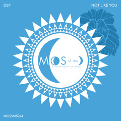 Premiere: DSF - Not Like You (Extended Mix) [My Other Side of The Moon]