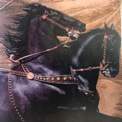 FlyingHorses