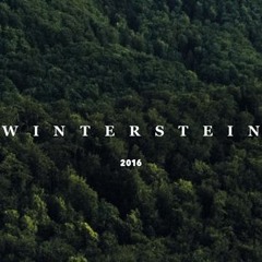Winterstein 2016 Promo Minimix
