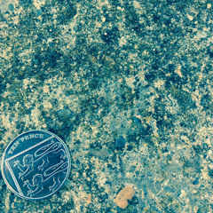 Young American - The Vaccines Cover