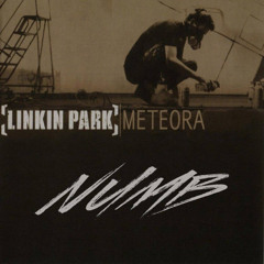 Linkin Park - Numb (Siyeni COVER)