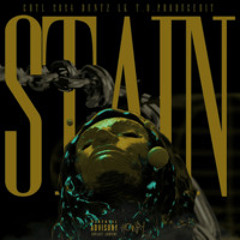 STAIN - crtl, t.o