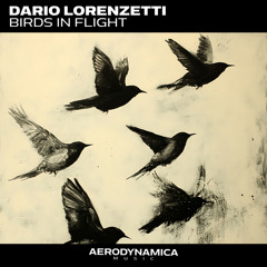 Birds in Flight (extended version)
