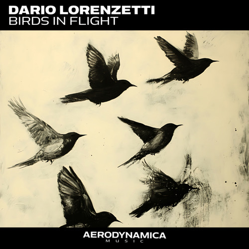 Birds in Flight (extended version)