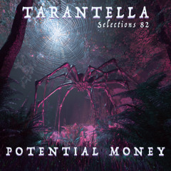 Selections 82 - Potential Money - AMF 28 SPAZ mix