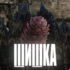 ШИШКА