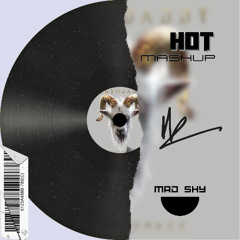 Pitbull, Daddy Yankee - Dont stop the party x HOT (MadShy Mashup)