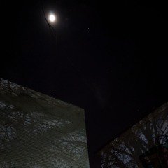 Maybe you will die tomorrow