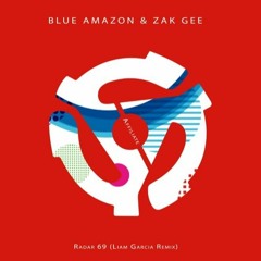 Blue Amazon - Radar 69 (Liam Garcia Remix)