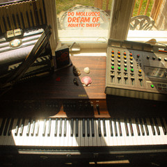 The Scallopers Tools