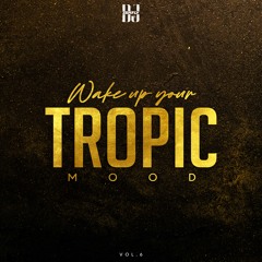 DJ ZERFLY - Wake Up Your Tropic Mood Vol.6