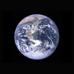 Life On Earth II