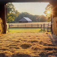 Kirras 40th barn party - Oct 2025