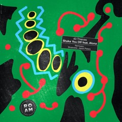Shake You Off (Radio - Spotify)