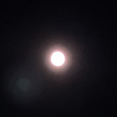 In the night(With.City Boy, CoiNciDE)