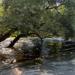 Sentimentalist 2.0 (feat. Gabriela Garrubo)