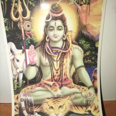 Shiva Shambo