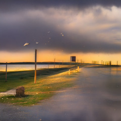 Tears on the Wind