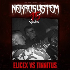 EliceX vs Tinnitus @ 15 Years Nekrosystem (Revisited)