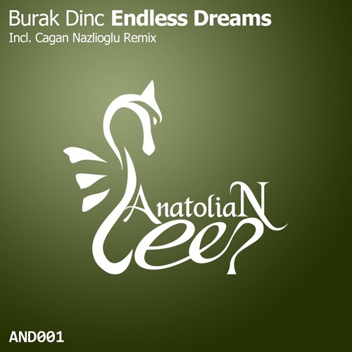 Burak Dinc